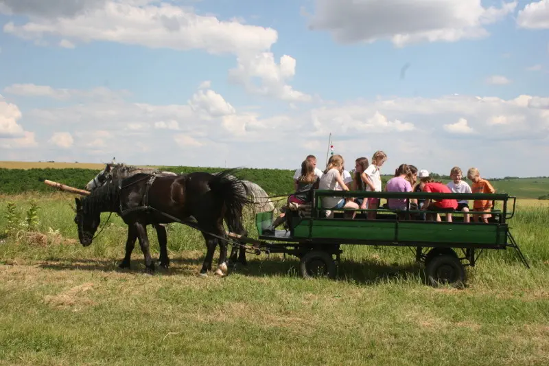0_eletkep04