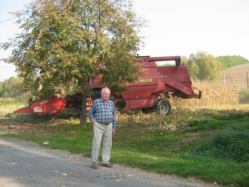 0_eletkep19