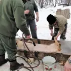 DSC02748